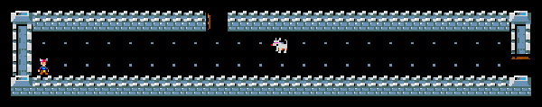A long room with a jackal